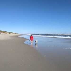 Meet your Posher, Elisa